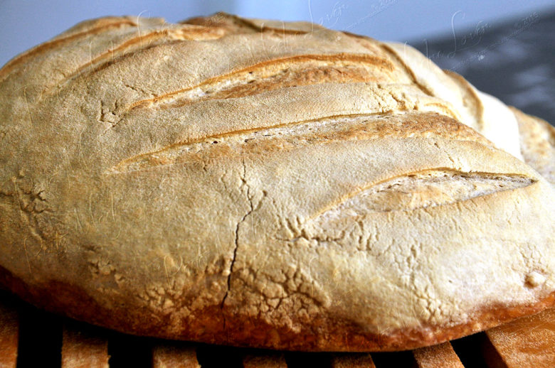 Pane quotidiano intero